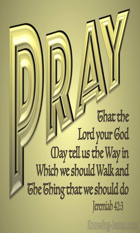 Jeremiah 42:3 Pray That The Lord May Show Us The Way